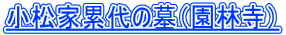 Ɨݑ̕iюj 